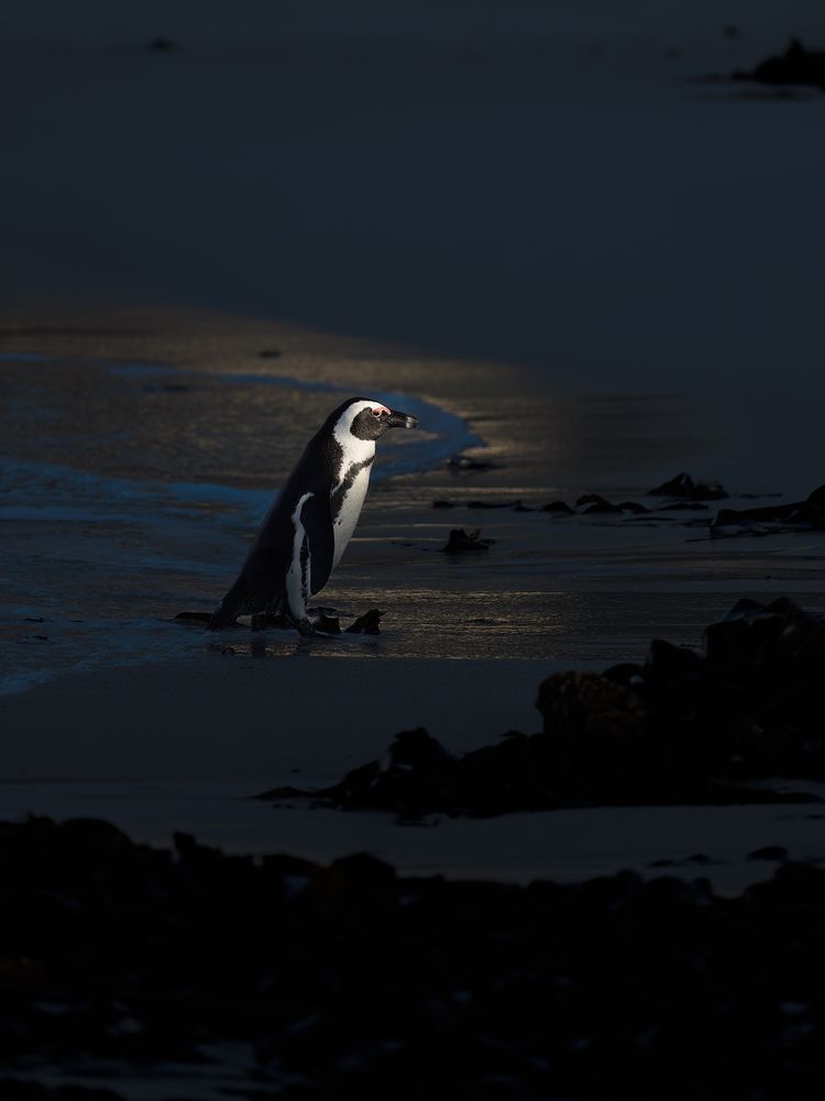 Photograph by Alexandra Surkova