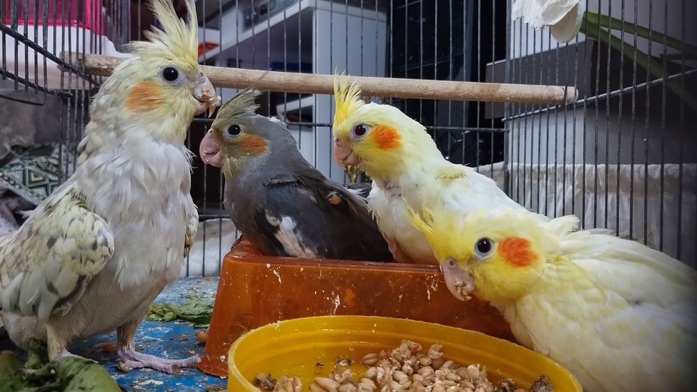 Photograph by Moein Gheysari