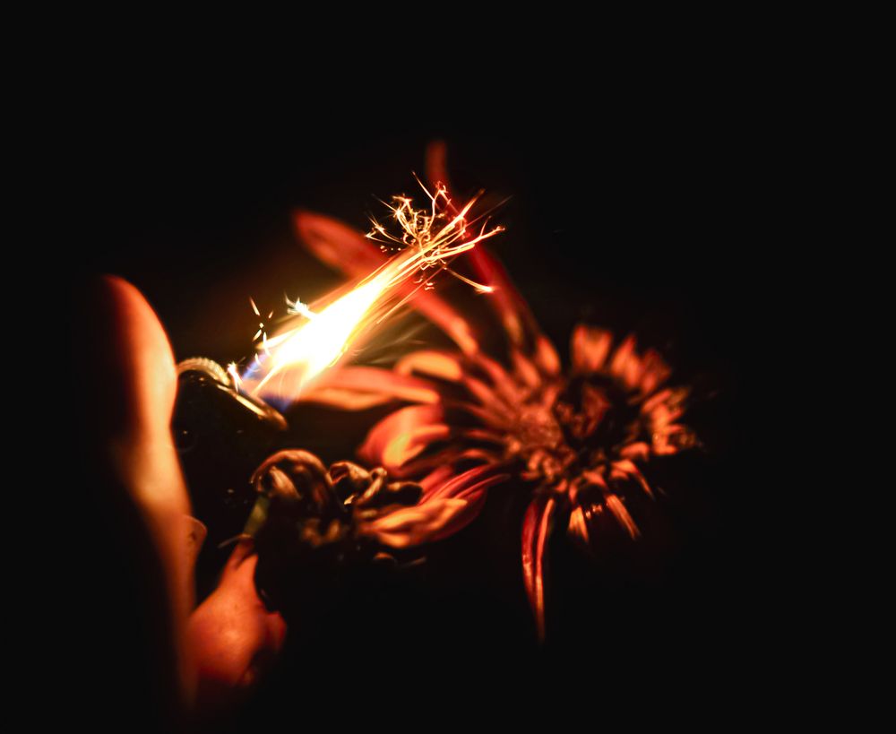 Photograph by Александра Щирова