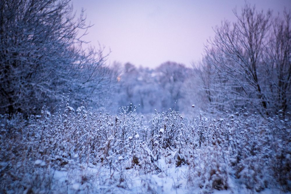 Photograph by Алексей Кацан