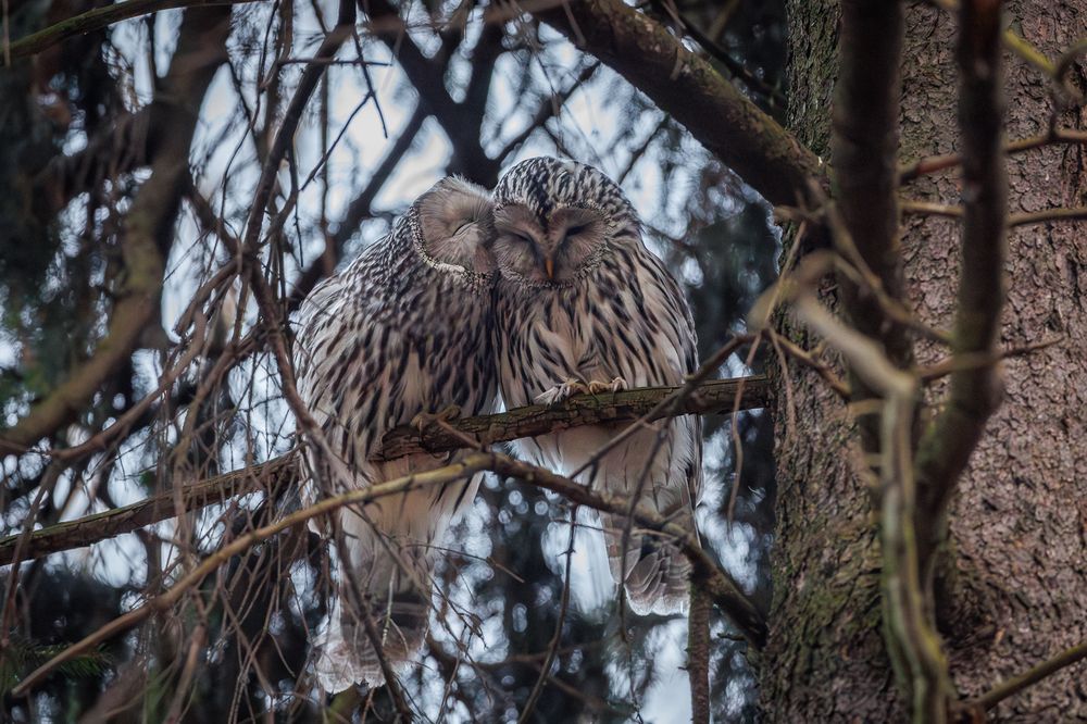 Photograph by Антон Науменко