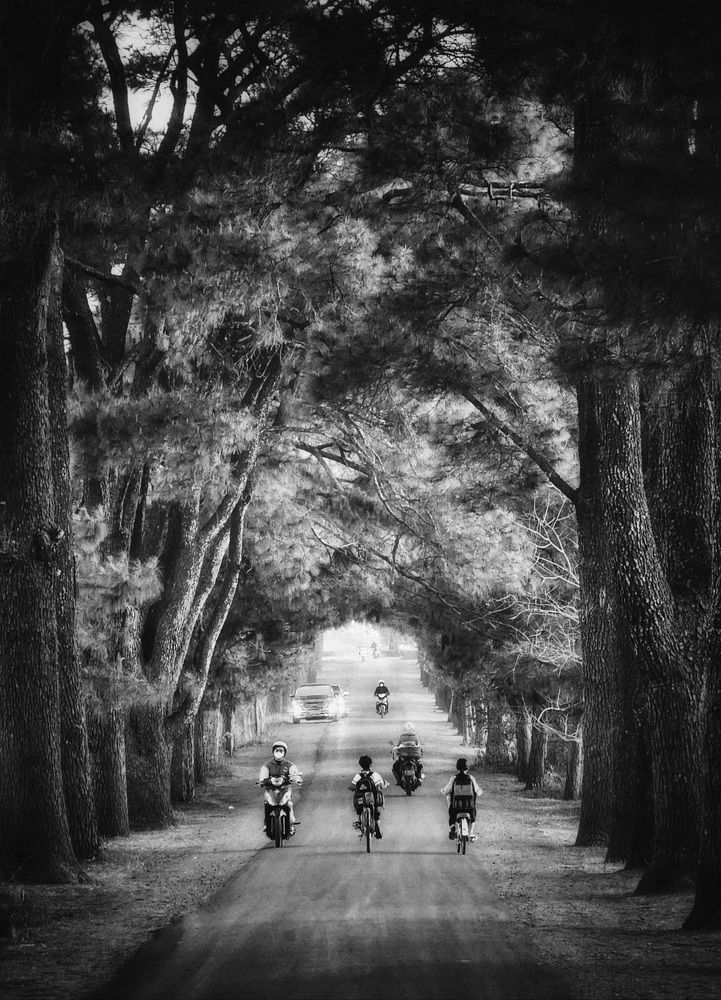 Photograph by Do Thi Thanh Binh