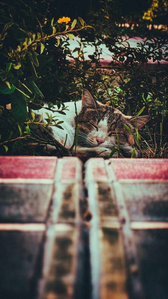 Photograph by Parsa Mohammadinejad