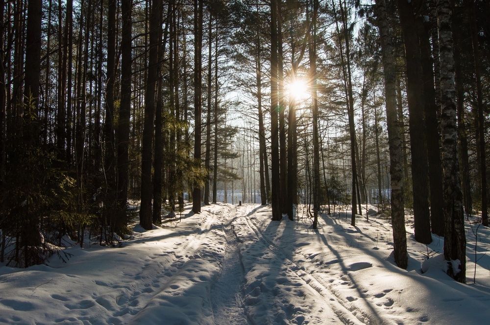 Фотография автора Мария Михайлова