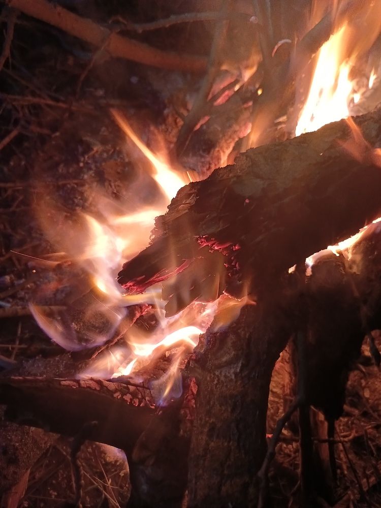 Фотография автора Виталий Петухов