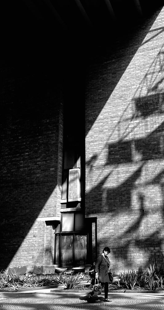 Photograph by Nilesh