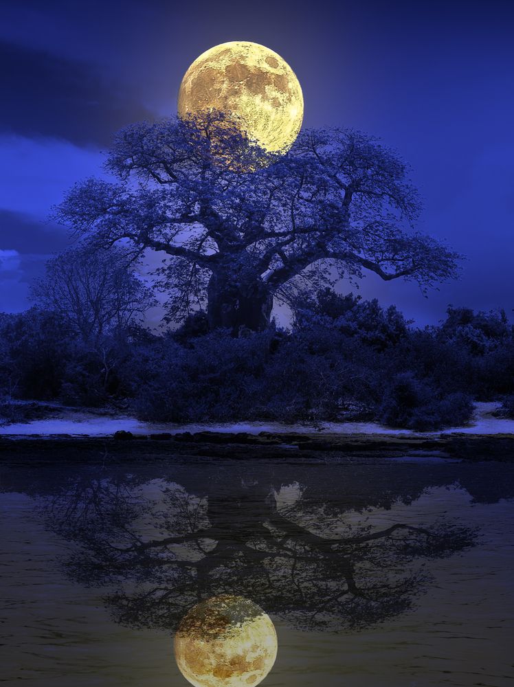 Photograph by Дмитрий