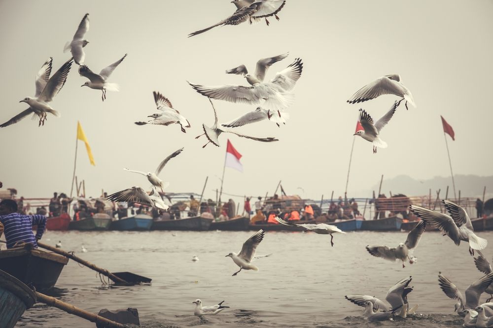 Photograph by Ashik Patel