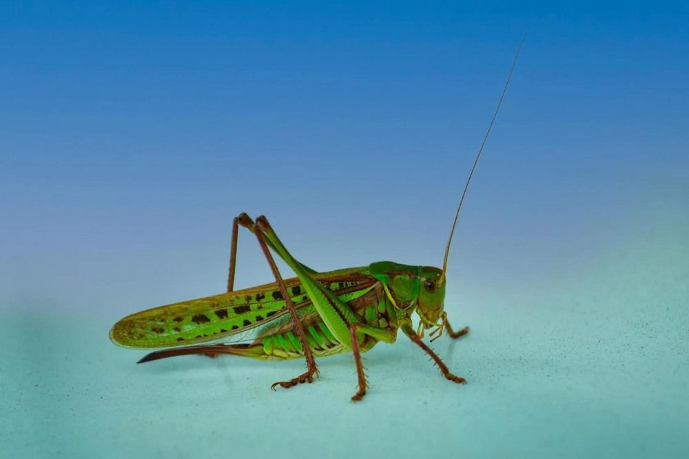 Photograph by Анжелика Трошина