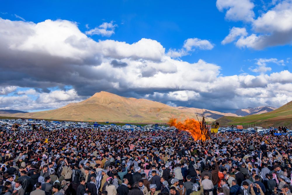 Фотография автора mohammad Alipour