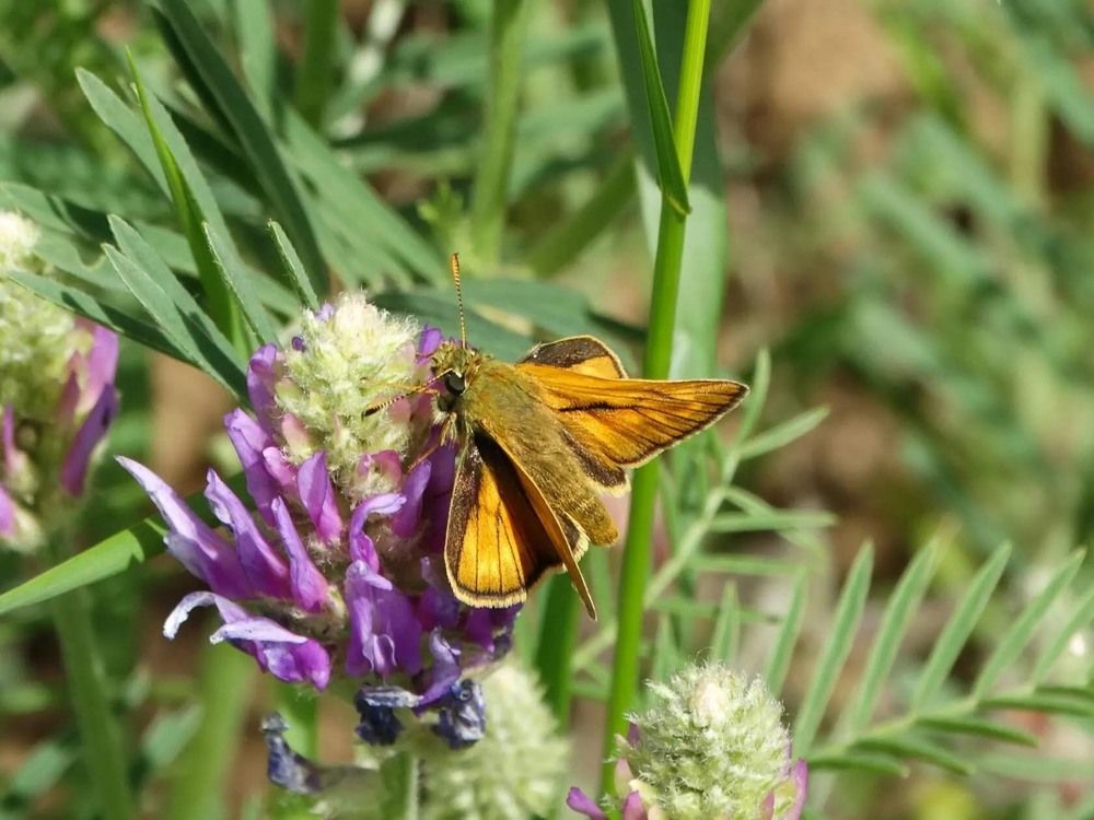 Photograph by Анжелика Трошина