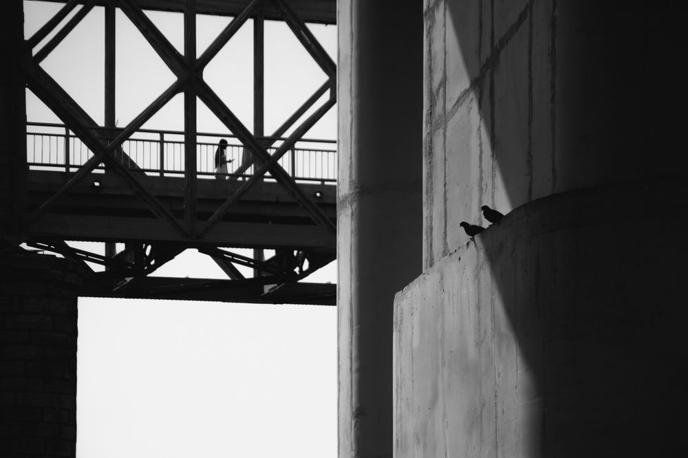 Photograph by Дарья Шацких