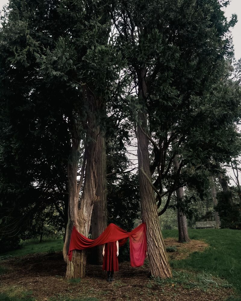 Photograph by Zinaida Sassarini