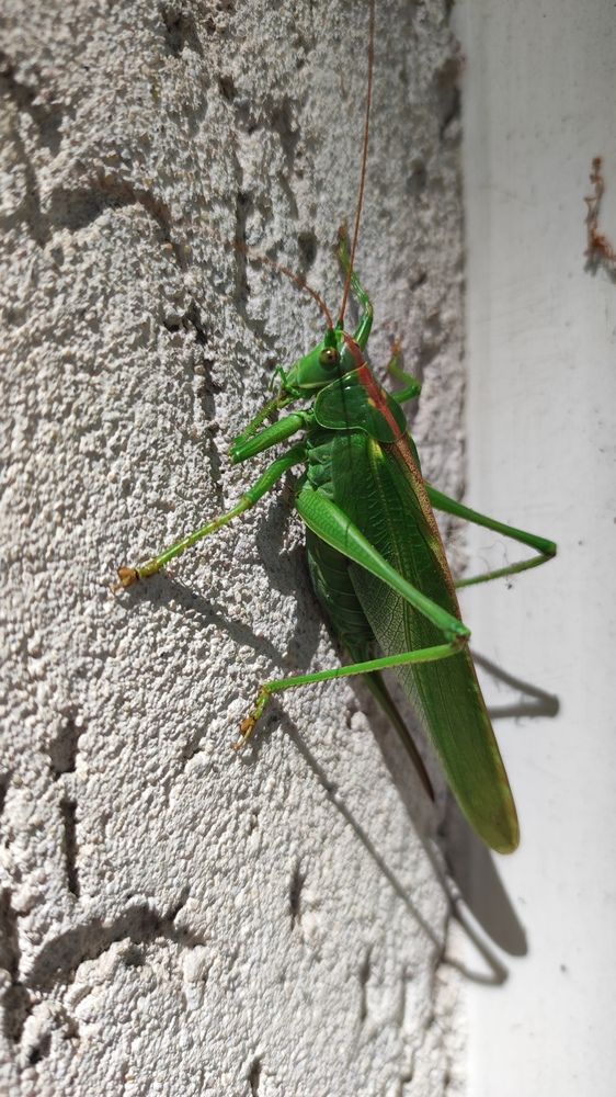 Photograph by Марийона Савоненко