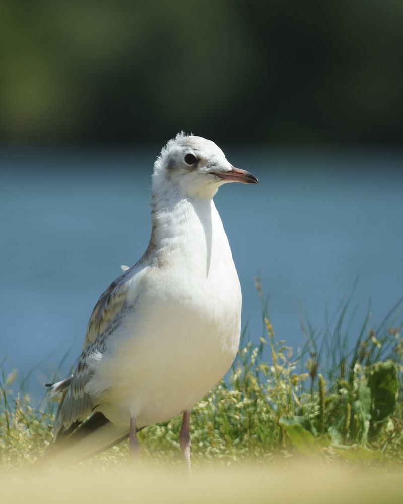 Фотография автора Сергей Затямин