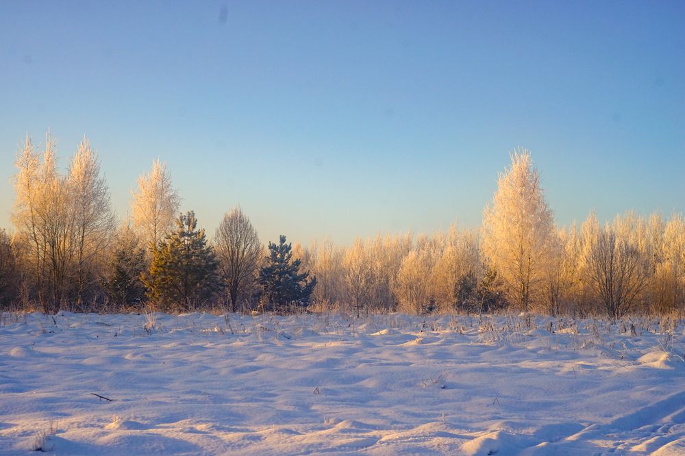 Photograph by Татьяна Шандромайло