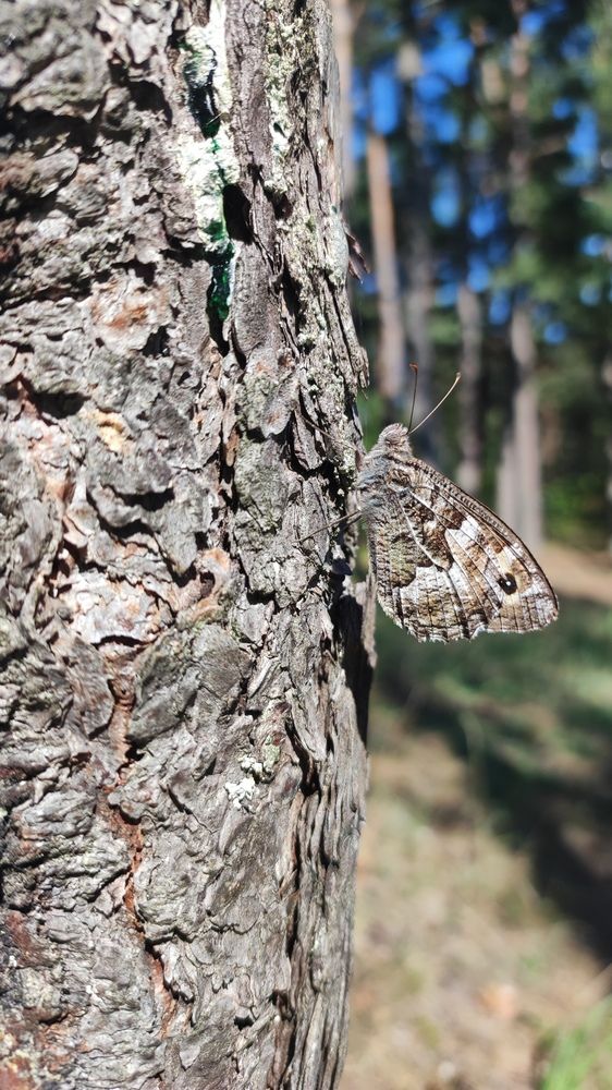 Photograph by Марийона Савоненко