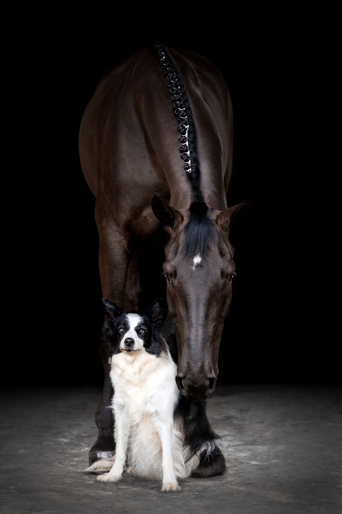 Фотография автора Camilla Cintra