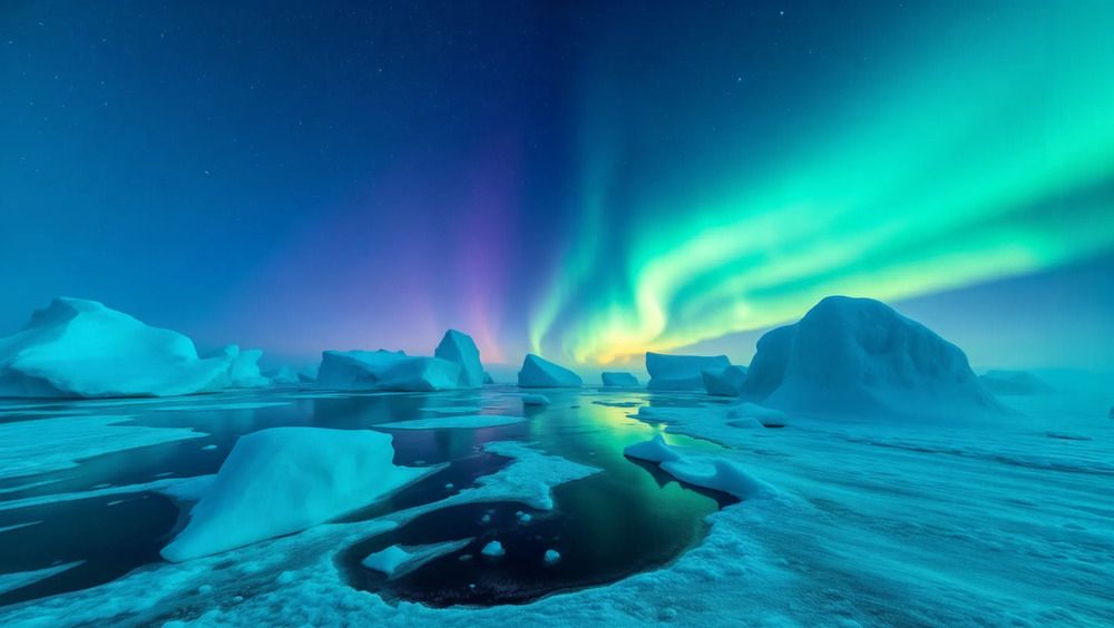 Photograph by Алина Ерехинская