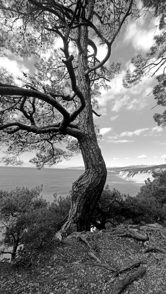 Фотография автора Сергей Кульков