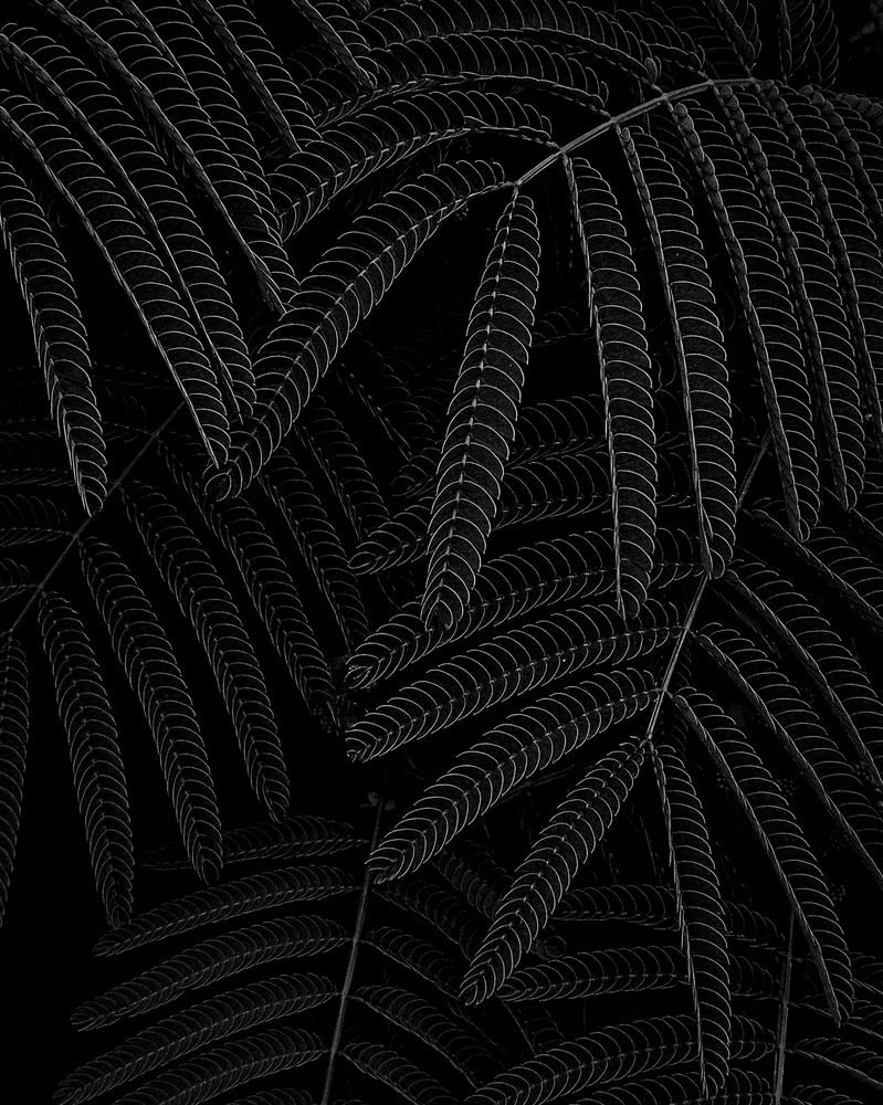 Photograph by Alexandra Sergeeva