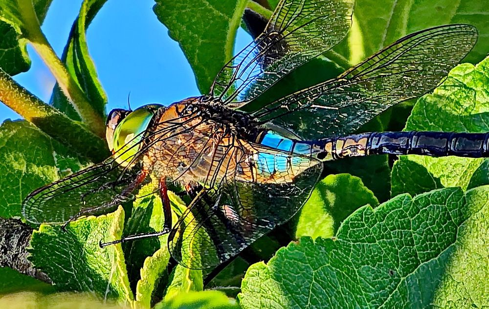 Photograph by Свиденцов Михаил