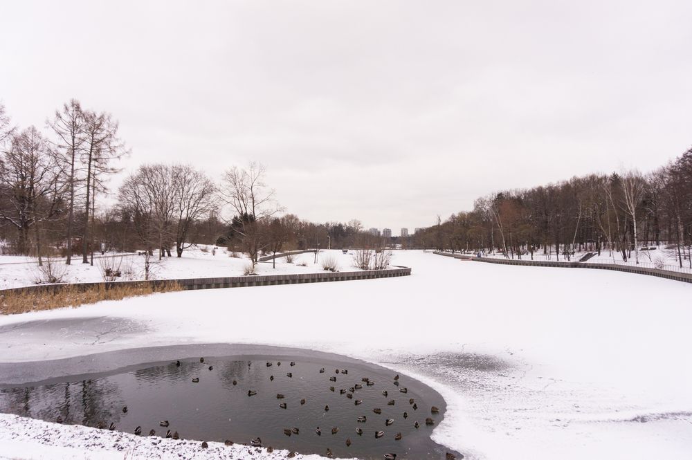 Фотография автора Николай Алмаев