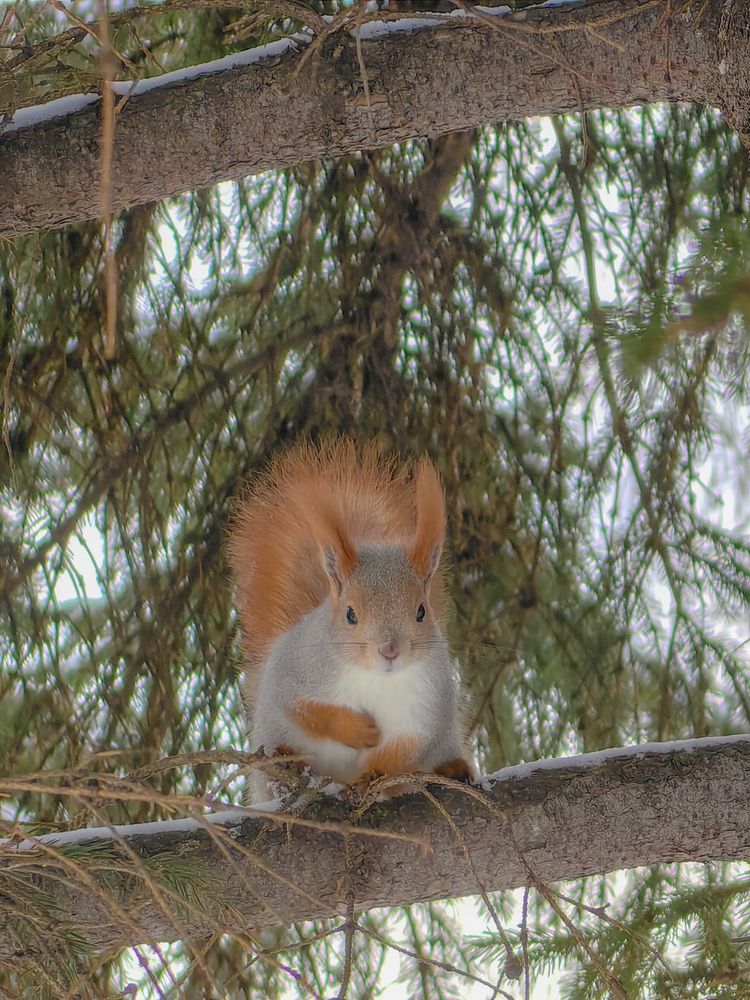 Фотография автора Иван