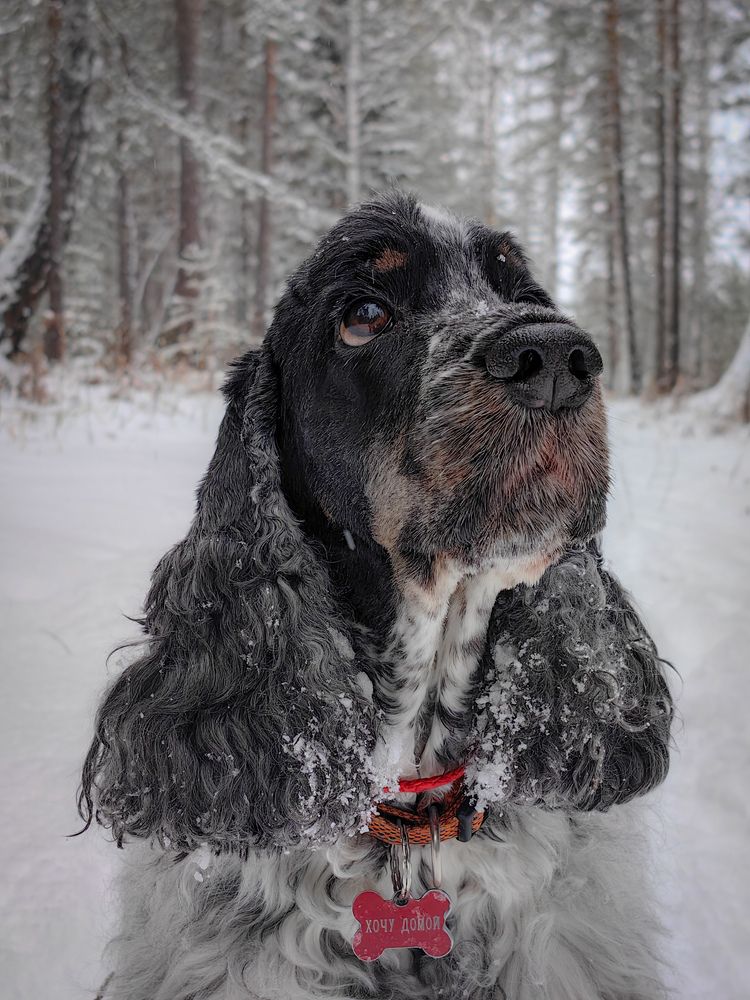 Фотография автора Иван