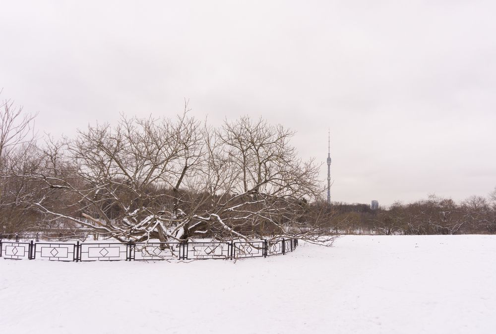 Фотография автора Николай Алмаев
