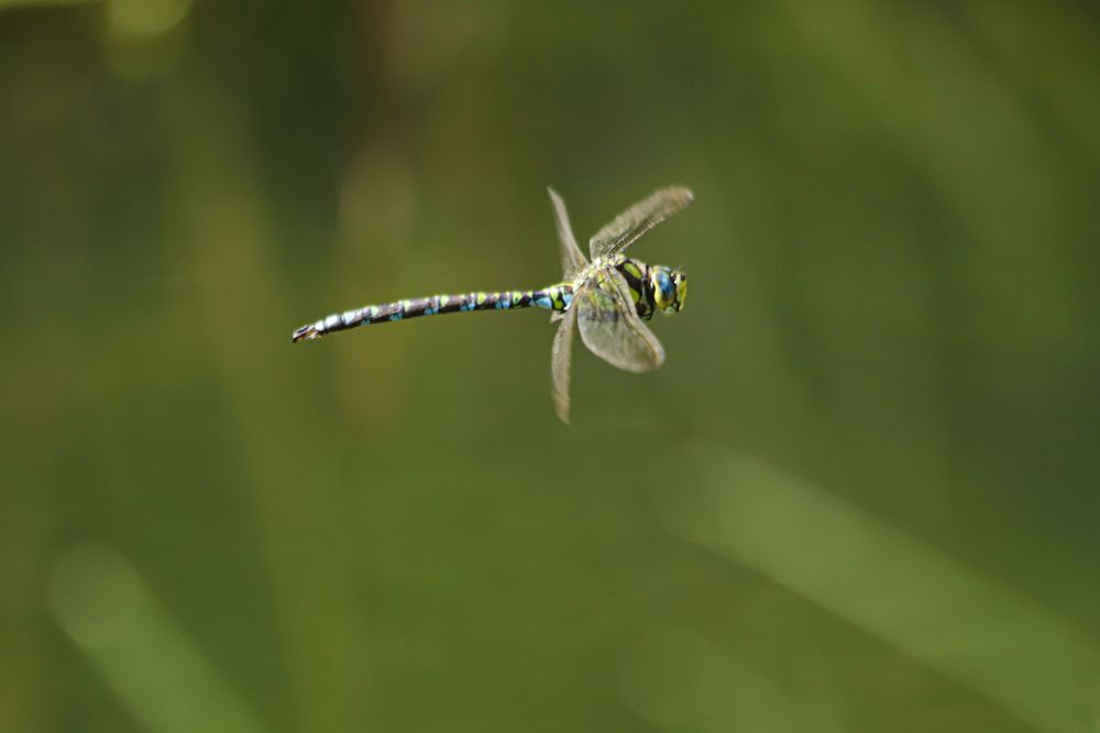 Photograph by Алексей Егоров