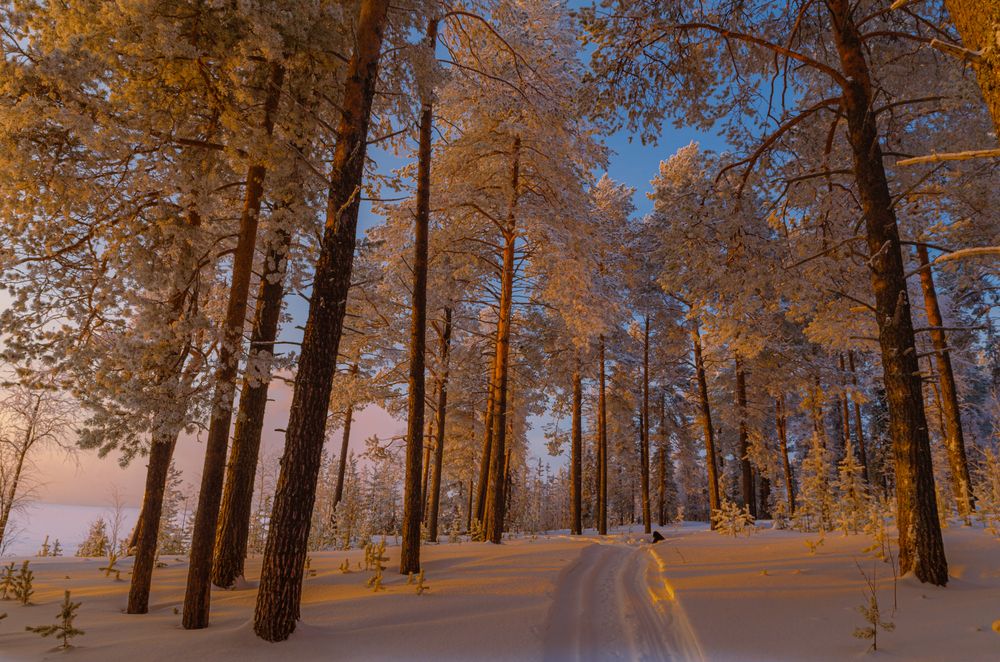 Photograph by Денис Рокин