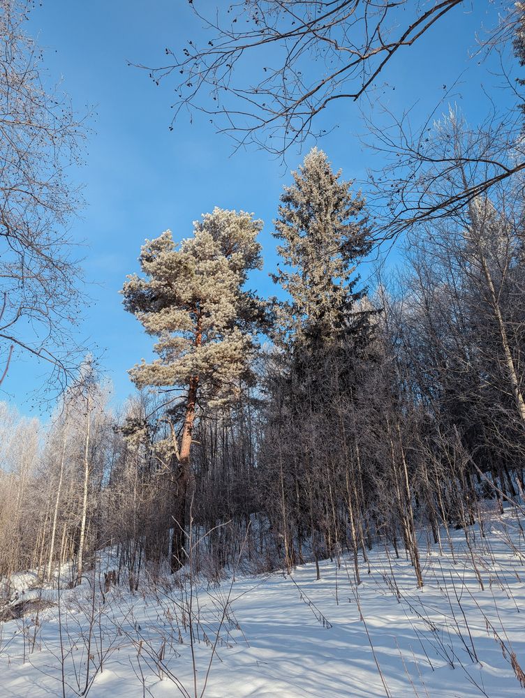 Фотография автора Мария Михайлова