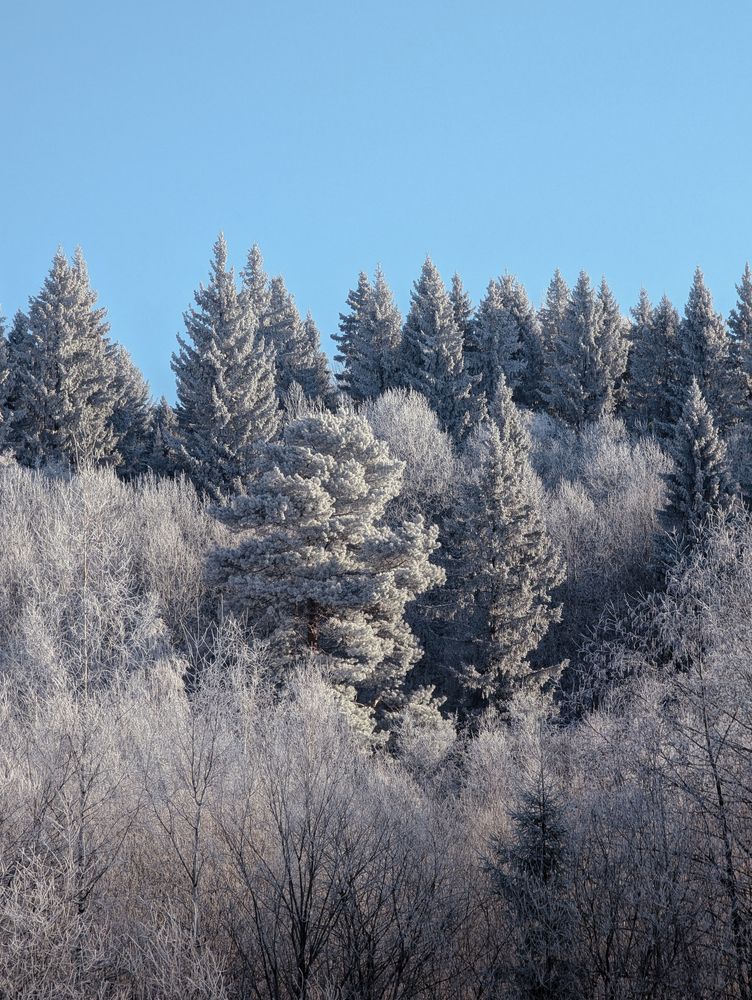 Фотография автора Мария Михайлова