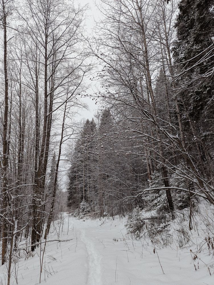 Фотография автора Мария Михайлова