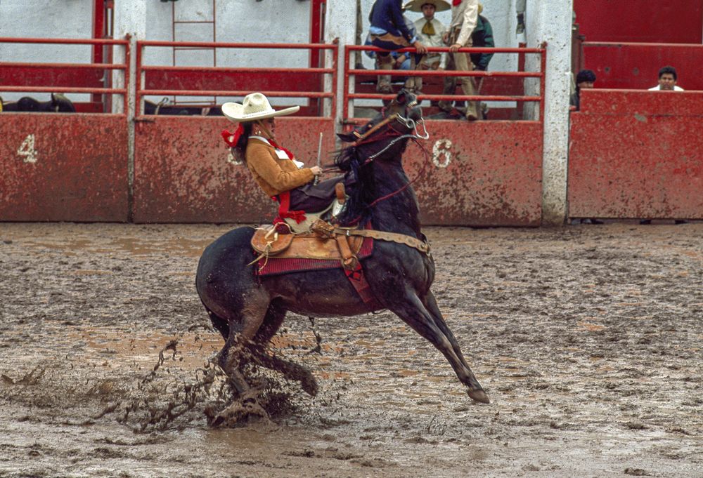 Photograph by gustavo gatto