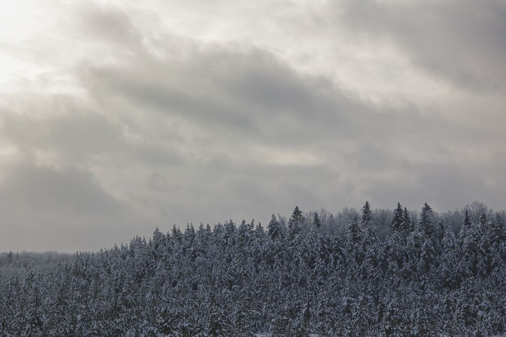 Photograph by Эльвира Полудницына