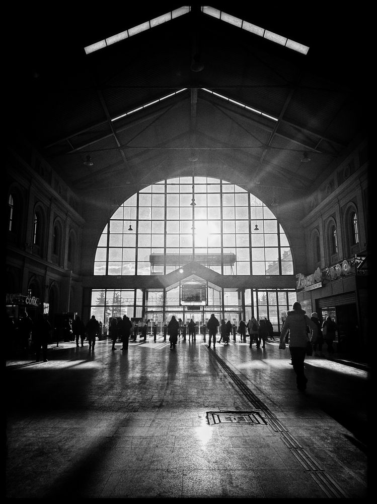 Photograph by Алина Логвиненко