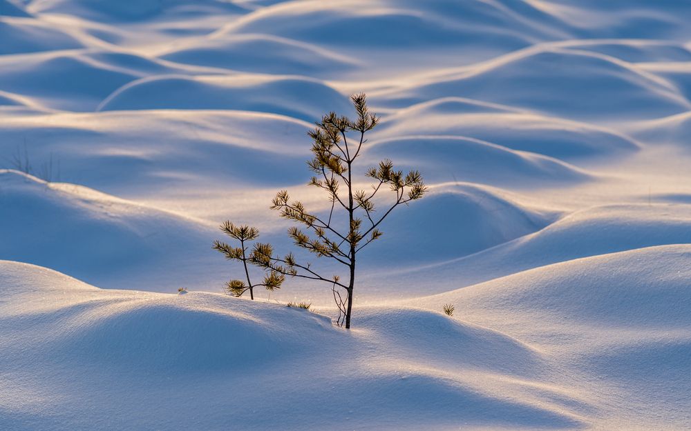 Photograph by Mika Mgla