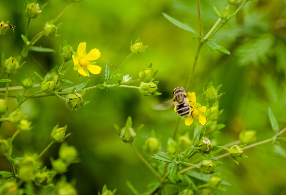 Photograph by Юлиана Иванова