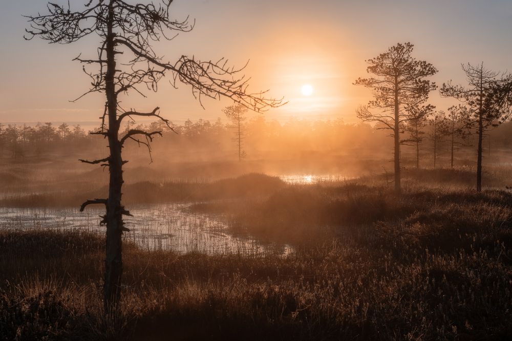 Photograph by Чехонин Александр