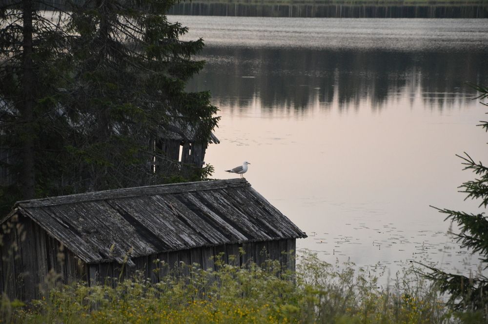 Photograph by Анастасия Рыжакова