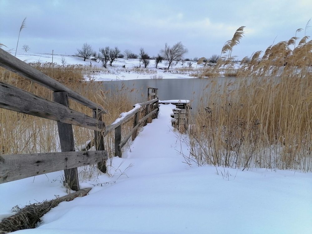 Photograph by Анжелика