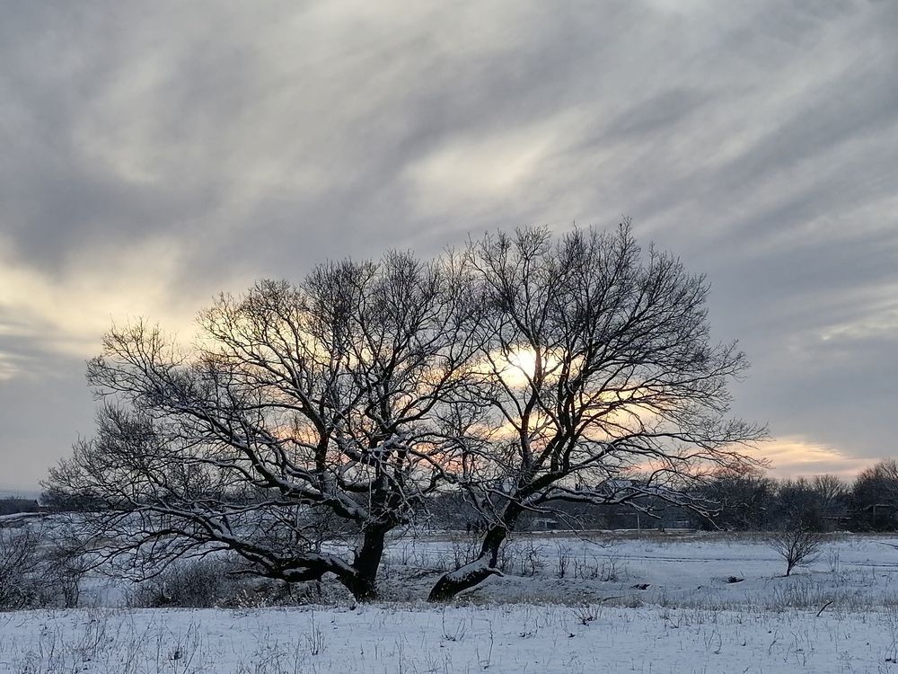 Photograph by Анжелика