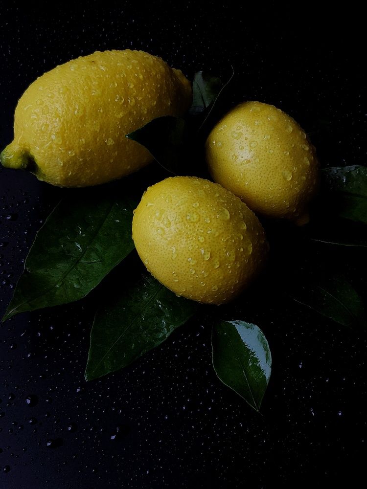 Photograph by Юлия