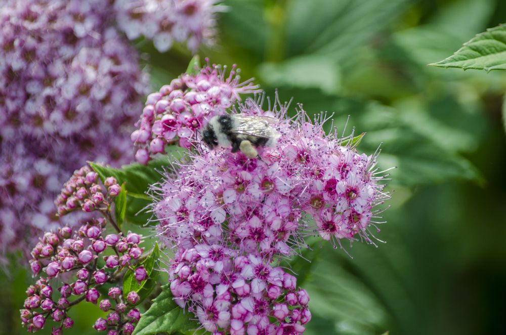 Photograph by Юлиана Иванова