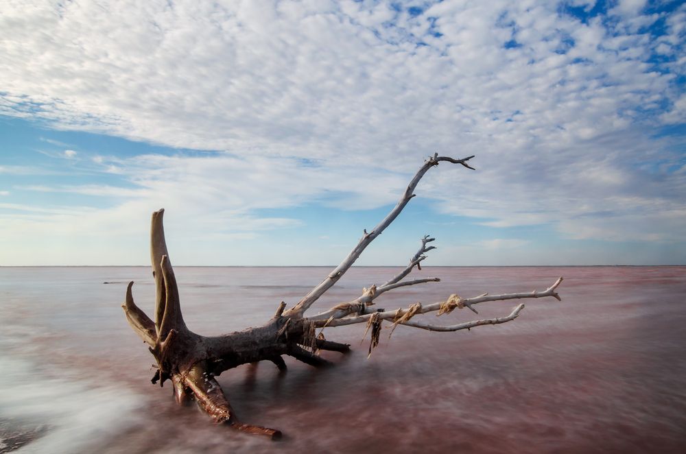 Photograph by Павел Козин