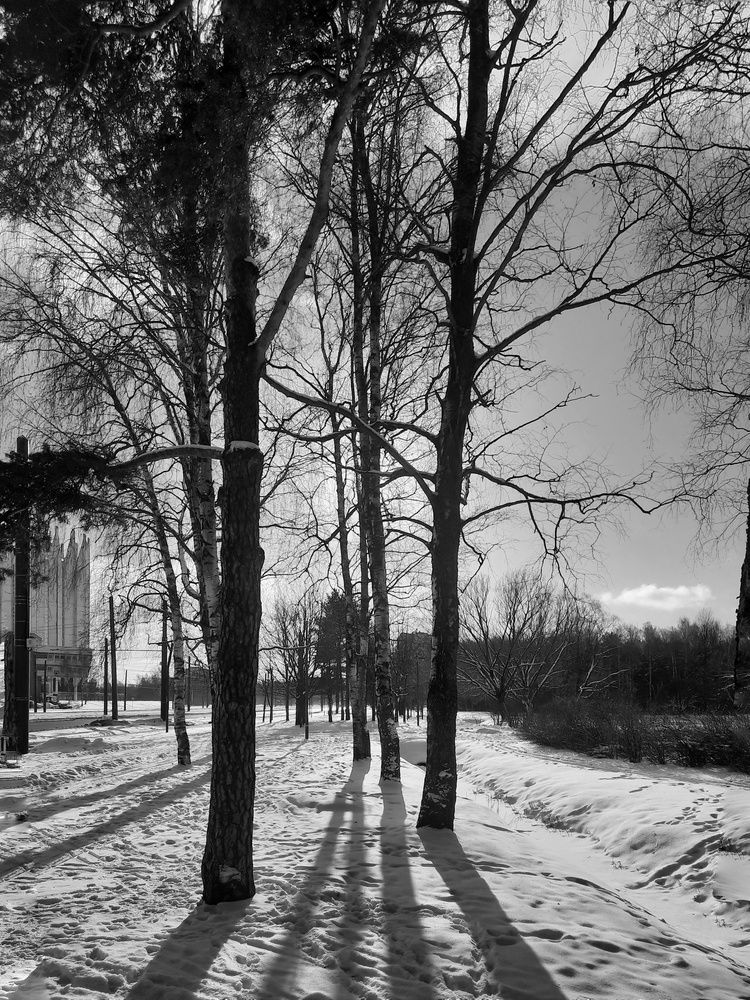 Photograph by Игорь