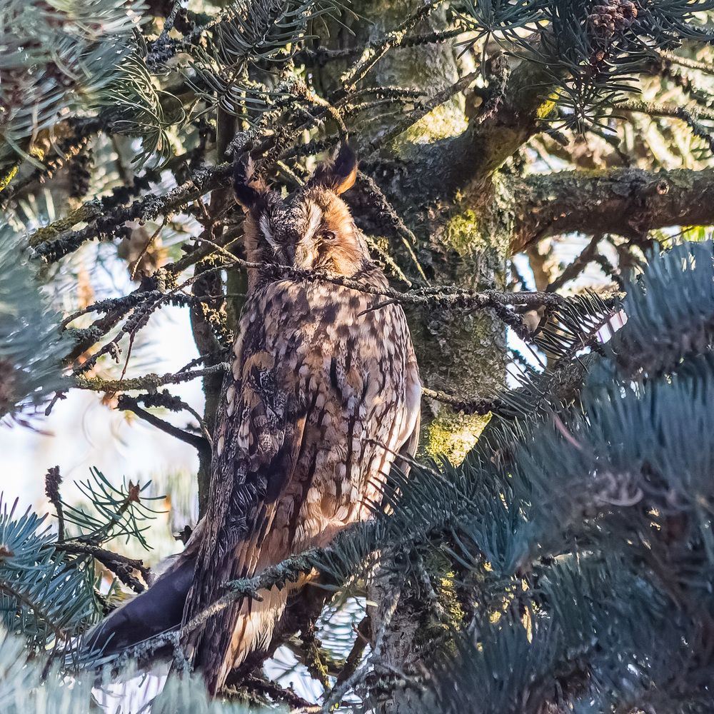 Photograph by Victor Shaposhnikov