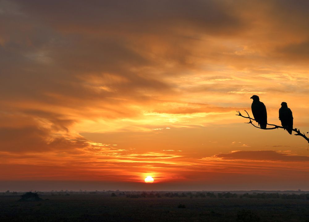 Photograph by Magov Marat